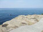 DSCF2739_hh.jpg