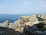 DSCF2742_hh.jpg