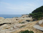 DSCF2744_hh.jpg