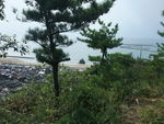 DSCF2806_hh.jpg