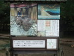 DSCF2870_hh.jpg