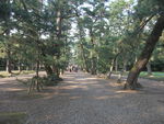 DSCF2888_hh.jpg