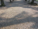 DSCF2890_hh.jpg