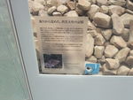 DSCF2903_hh.jpg