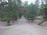 DSCF2914_hh.jpg
