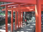 DSCF3062_hh.jpg