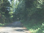 DSCF3101_hh.jpg