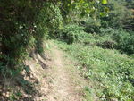 DSCF3108_hh.jpg