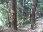 DSCF3121_hh.jpg