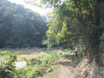 DSCF3124_hh.jpg