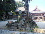 DSCF3152_hh.jpg