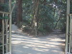 DSCF3156_hh.jpg