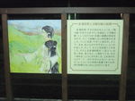 DSCF3215_hh.jpg