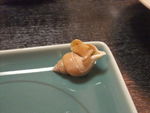 DSCF3239_hh.jpg