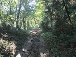 DSCF3302_hh.jpg