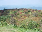 DSCF3454_hh.jpg