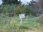 DSCF3456_hh.jpg