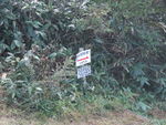 DSCF3457_hh.jpg