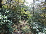 DSCF3459_hh.jpg