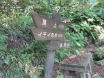 DSCF3467_hh.jpg