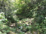 DSCF3470_hh.jpg