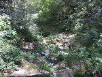 DSCF3471_hh.jpg