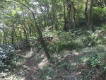 DSCF3473_hh.jpg