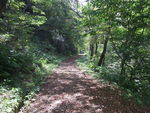 DSCF3485_hh.jpg
