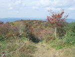 DSCF3495_hh.jpg