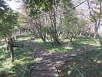 DSCF3496_hh.jpg