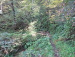 DSCF3498_hh.jpg