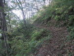 DSCF3499_hh.jpg