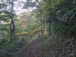 DSCF3501_hh.jpg