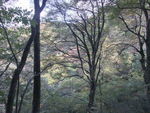 DSCF3502_hh.jpg