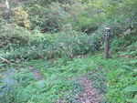 DSCF3506_hh.jpg