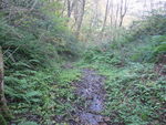 DSCF3507_hh.jpg