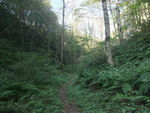 DSCF3508_hh.jpg