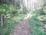 DSCF3510_hh.jpg