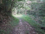 DSCF3520_hh.jpg
