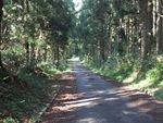 DSCF3534_hh.jpg