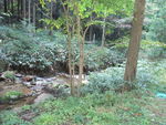 DSCF3537_hh.jpg