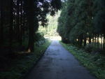 DSCF3541_hh.jpg