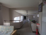 DSCF3559_hh.jpg