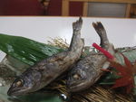DSCF3587_hh.jpg