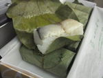 DSCF3740_hh.jpg