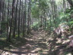 DSCF3880_hh.jpg