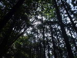 DSCF3888_hh.jpg