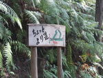 DSCF3890_hh.jpg