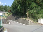 DSCF3900_hh.jpg