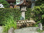 DSCF3940_hh.jpg